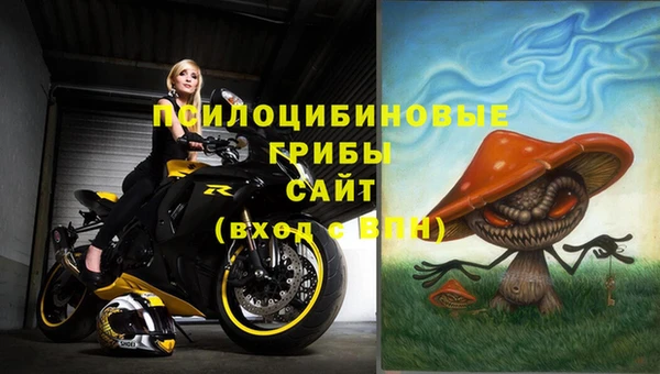 apvp Алзамай