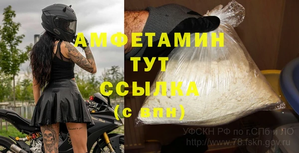 apvp Алзамай