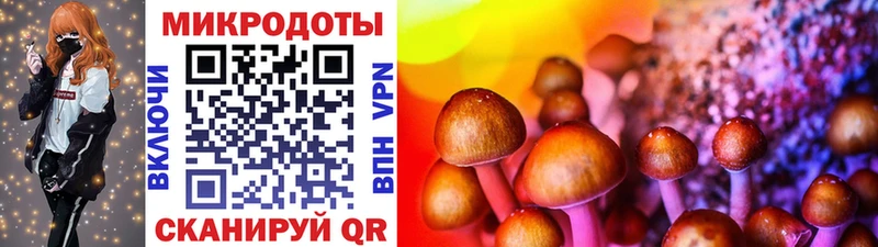 Псилоцибиновые грибы прущие грибы Безенчук